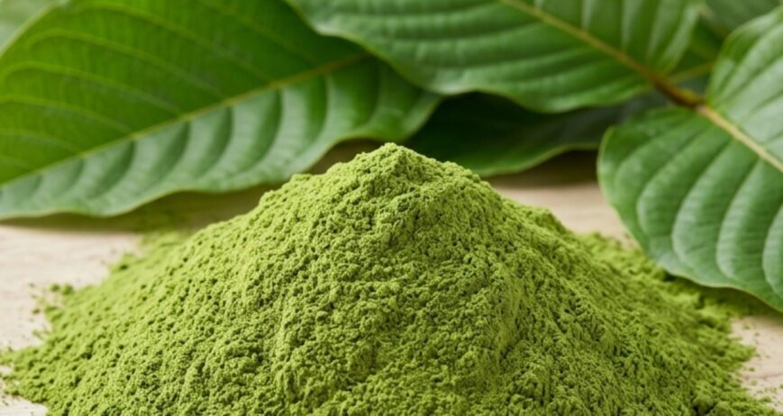 Organic Kratom Powder 120 Mesh (Mitragynine 1.5%) MOQ : 1 Ton Packaging description : Heat-seal Foil Bag
