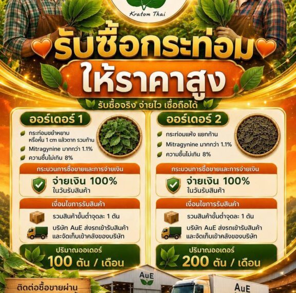 We buy kratom at a high price.