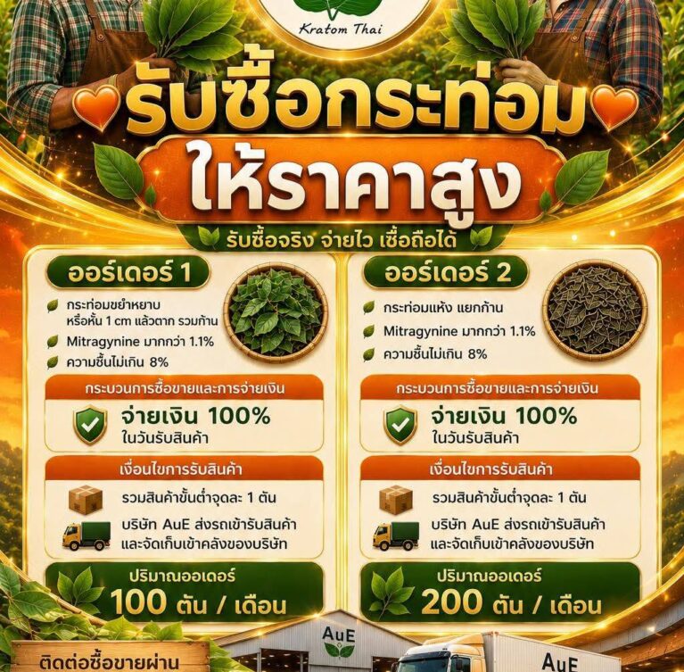 We buy kratom at a high price.