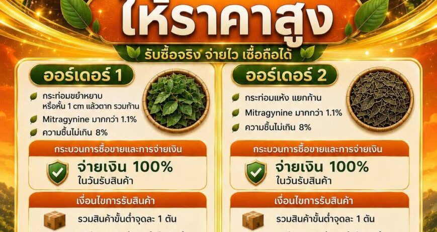 We buy kratom at a high price.